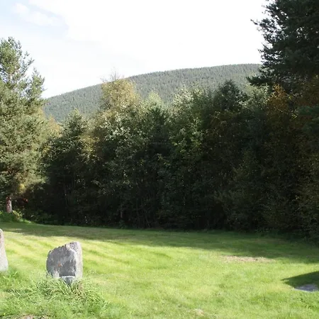 Gjestehus * Dovreskogen